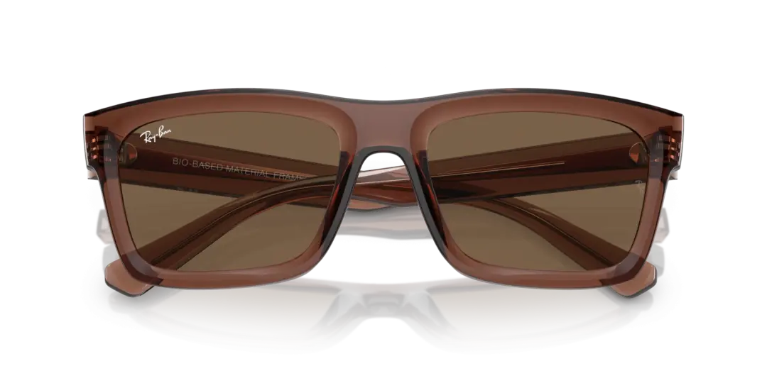 Ray-Ban Warren 0RB4396F 667873