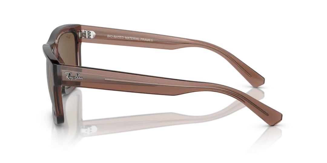 Ray-Ban Warren 0RB4396F 667873