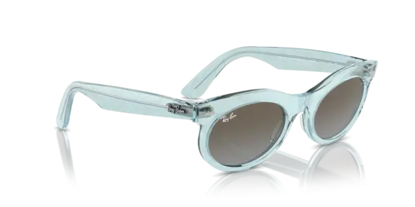 Ray-Ban Wayfarer oval 0RB2242F 138596