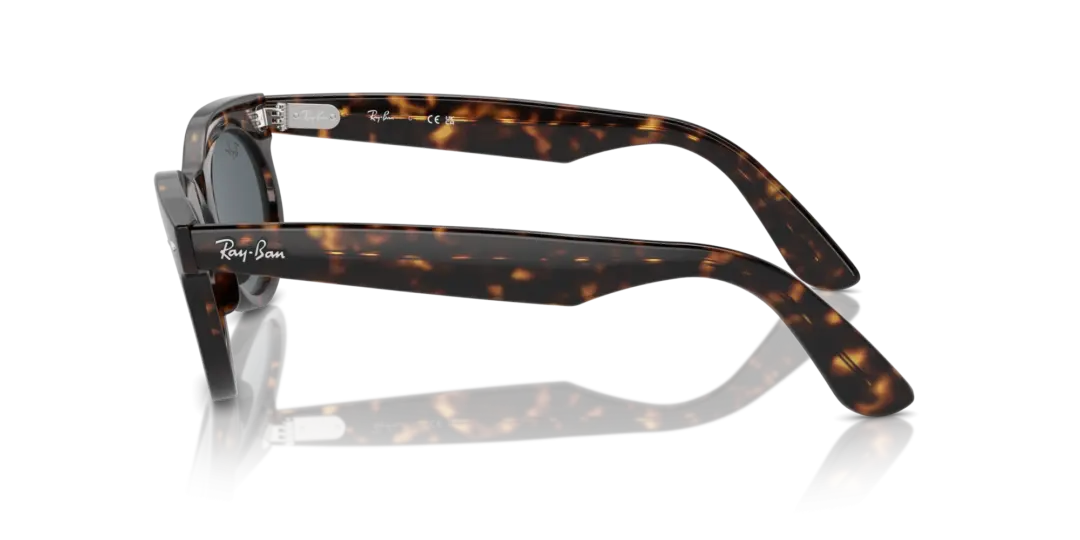 Ray-Ban Wayfarer oval 0RB2242F 902/R5