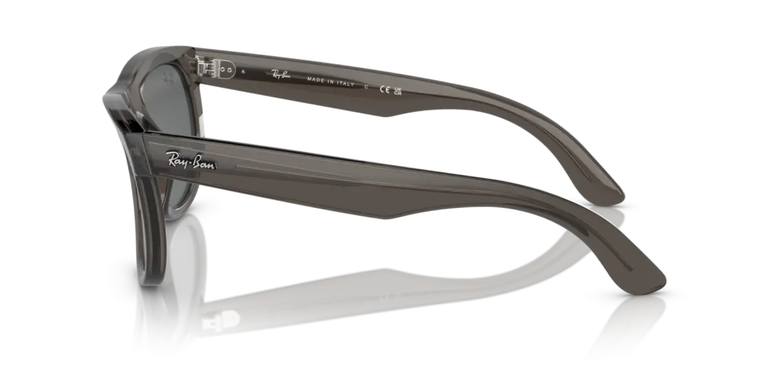 Ray-Ban Wayfarer reverse 0RBR0502S 6707GR