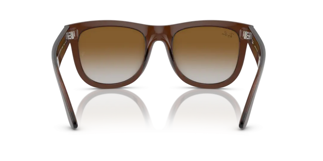 Ray-Ban Wayfarer reverse 0RBR0502S 6709CB
