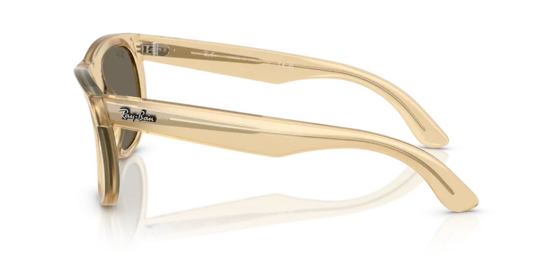 Ray-Ban Wayfarer reverse 0RBR0502S 68215A