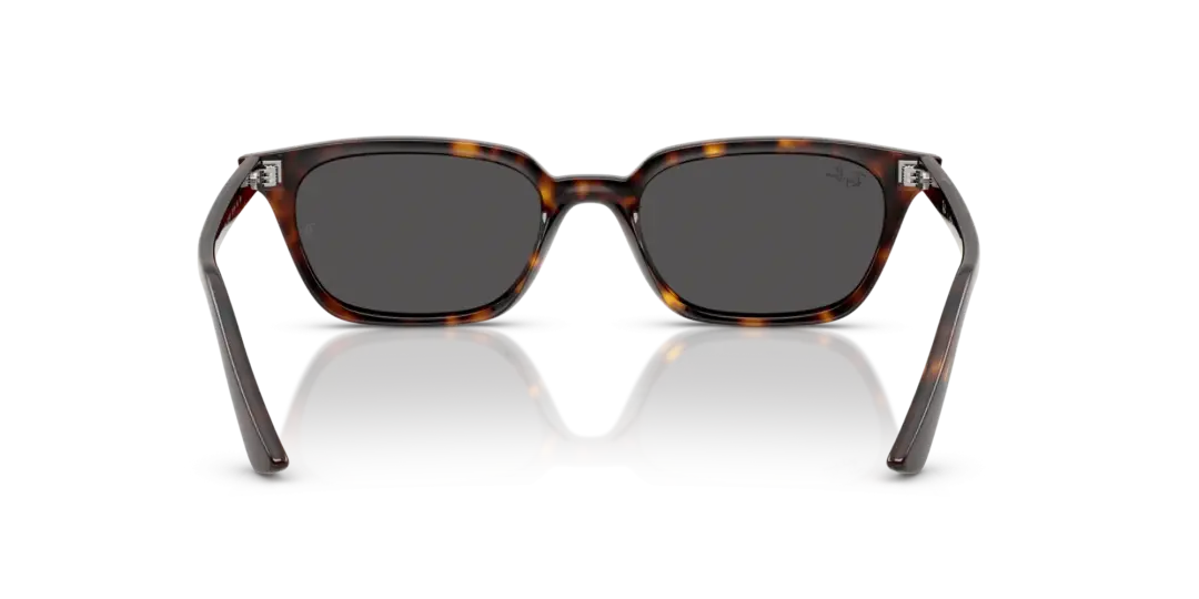 Ray-Ban Zaya 0RB4456F 135987