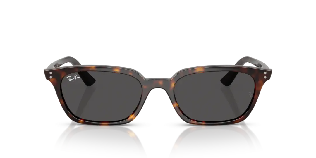 Ray-Ban Zaya 0RB4456F 135987