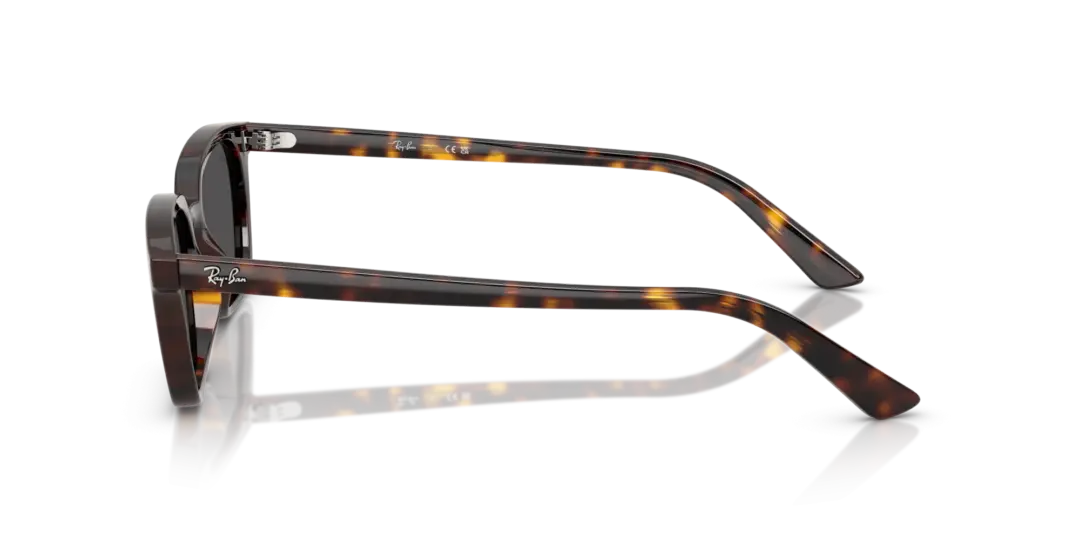 Ray-Ban Zaya 0RB4456F 135987