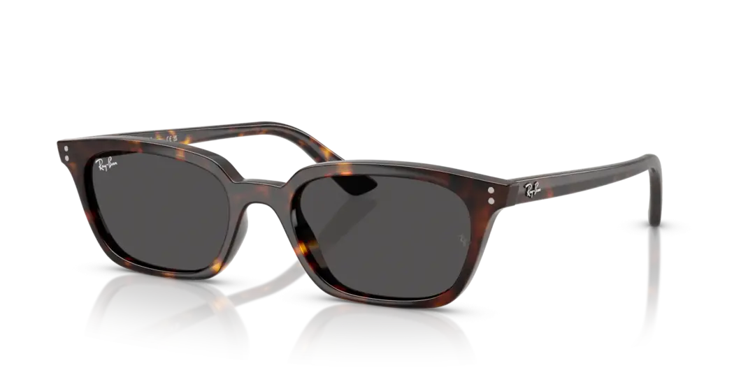 Ray-Ban Zaya 0RB4456F 135987