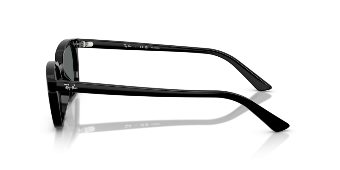 Ray-Ban Zaya 0RB4456F 667781