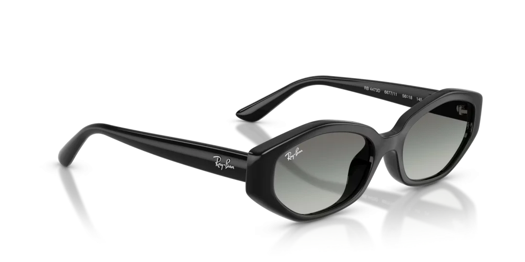 RayBan Eyewear 0RB4473D 667711