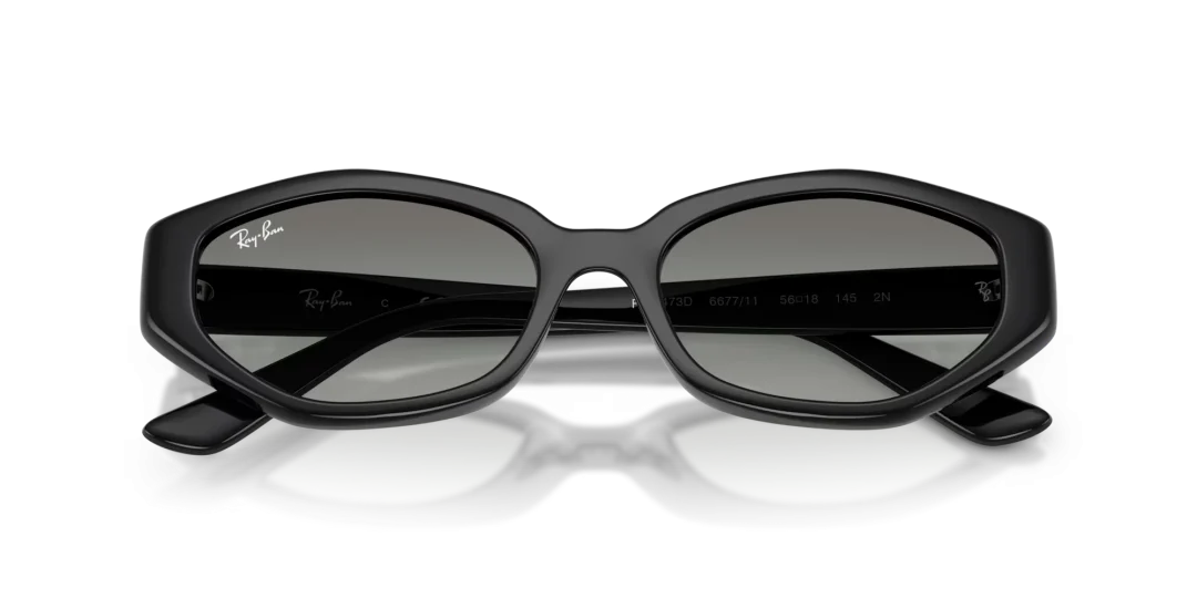 RayBan Eyewear 0RB4473D 667711