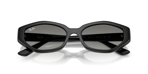 RayBan Eyewear 0RB4473D 667711
