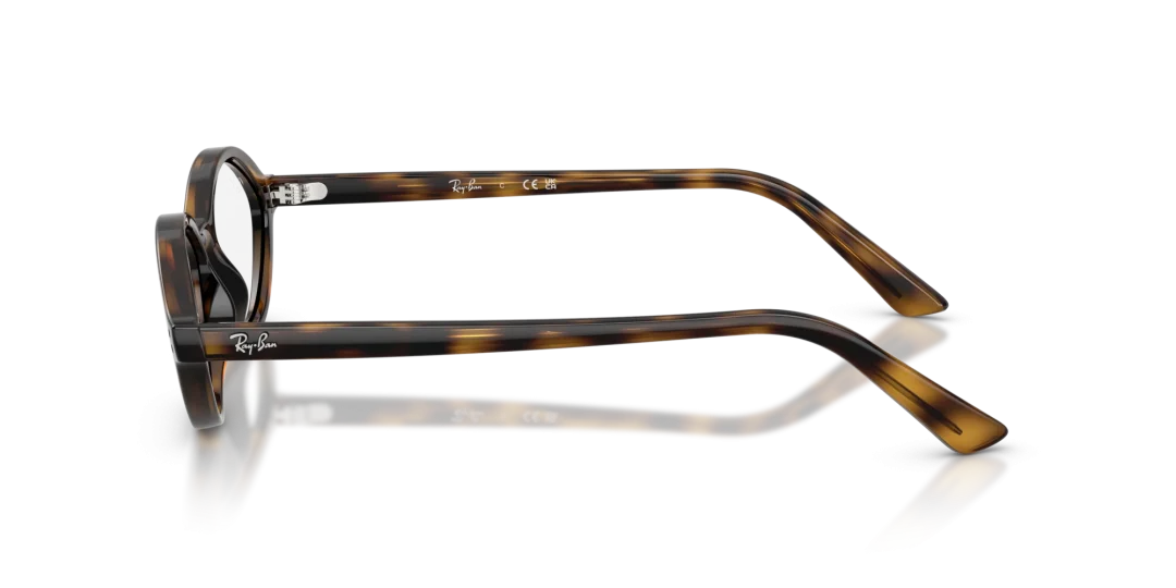 RayBan Eyewear 0RX7265 8320