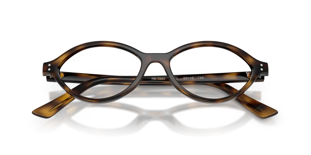 RayBan Eyewear 0RX7265 8320