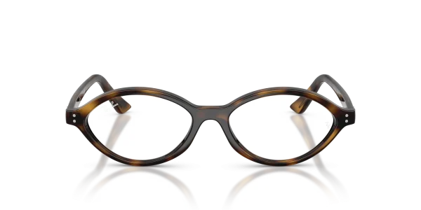 RayBan Eyewear 0RX7265 8320