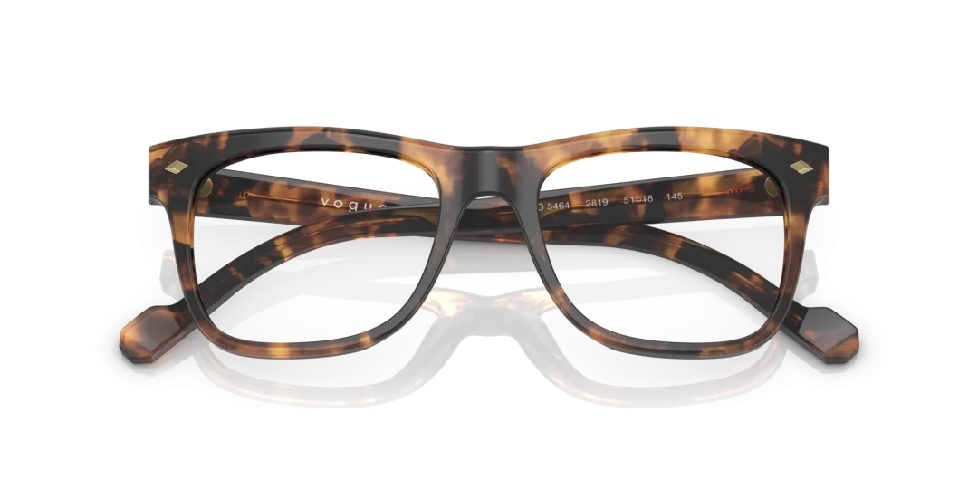 Vogue Eyewear 0VO5464 2819