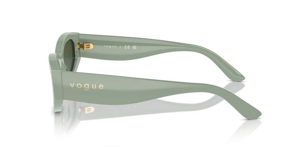 Vogue Eyewear 0VO5585S 316171 
