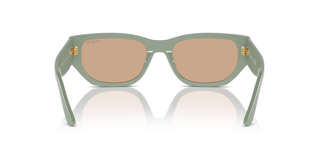 Vogue Eyewear 0VO5586S 3161/3