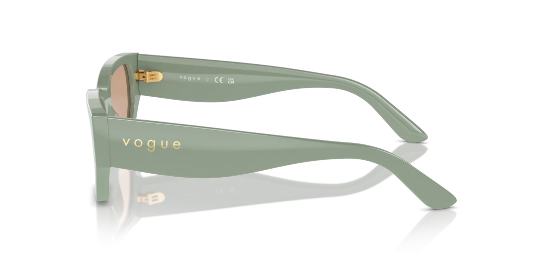 Vogue Eyewear 0VO5586S 3161/3