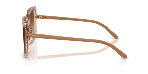 Vogue Eyewear 0VO5684SD 318113