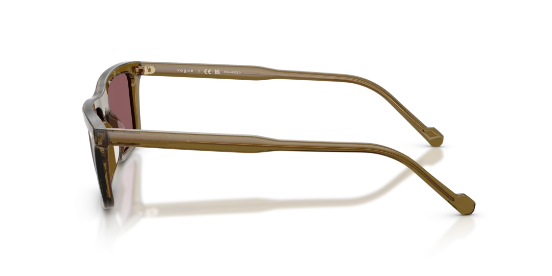 Vogue Eyewear 0VO5687S 3260LB